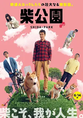 国内精品亚洲