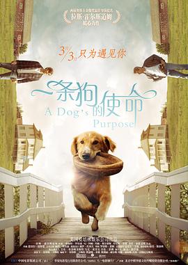 9999在线观看免费高清电视剧