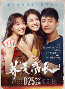 婷婷视频在线观看