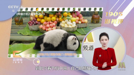 亚洲精品一区国产精品